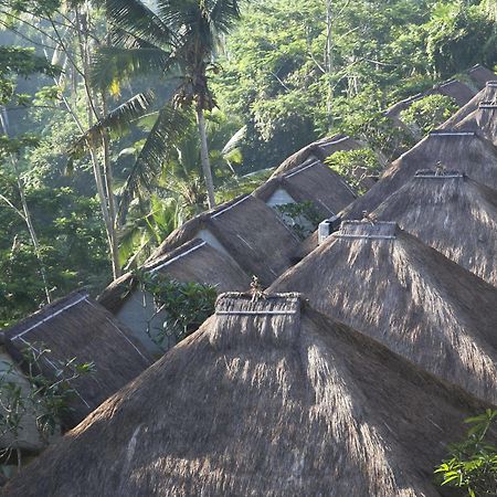 Tejaprana Resort & Spa Ubud Zewnętrze zdjęcie The roofs of the hotel