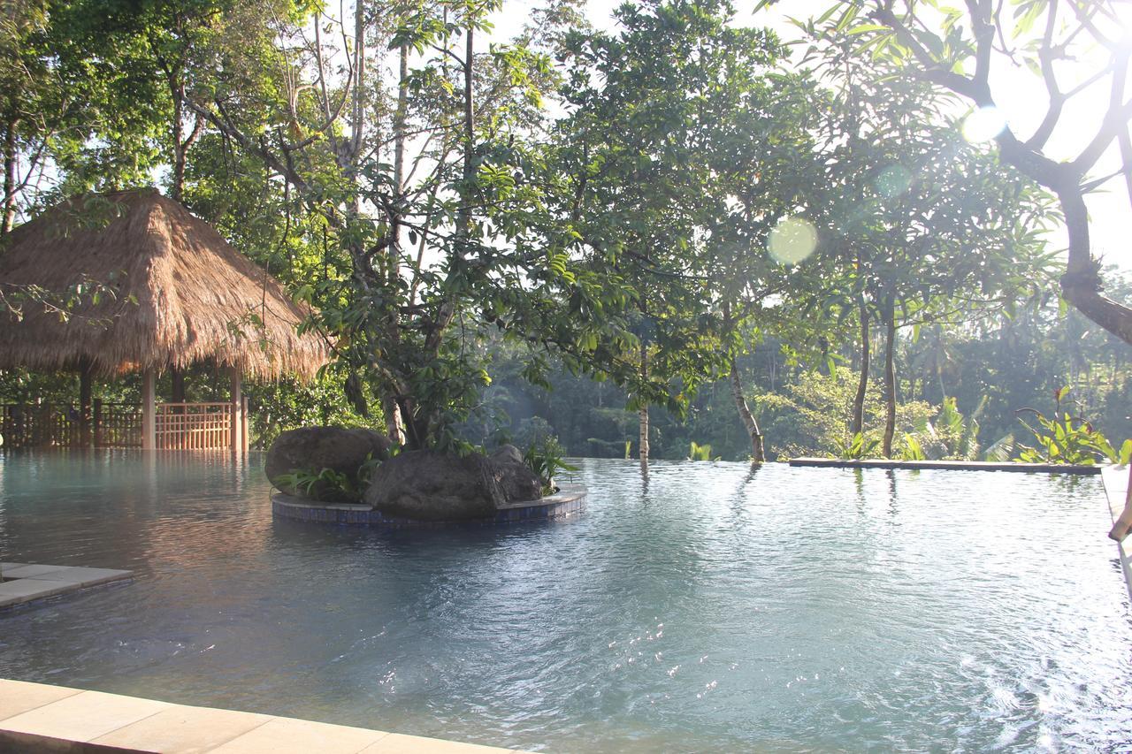 Tejaprana Resort & Spa Ubud Zewnętrze zdjęcie The resort's swimming pool