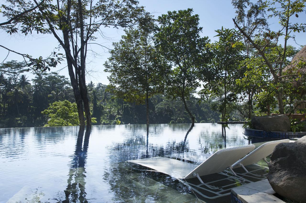 Tejaprana Resort & Spa Ubud Zewnętrze zdjęcie The flooded park